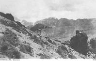 Primera imagen del registro Cordillera, Guanaco.