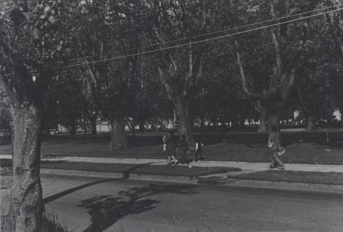 Primera imagen del registro Plaza Acevedo