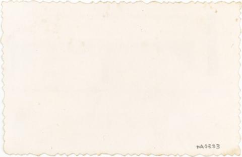 Isabel Correa G. 2009-07-15T04:00:00