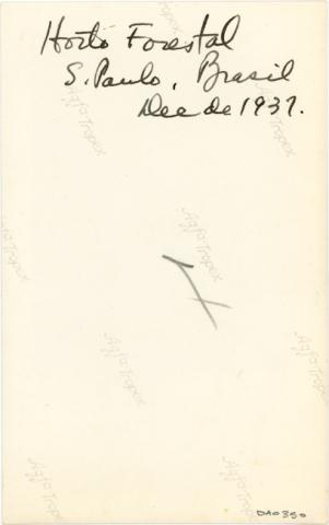 Isabel Correa G. 2009-07-20T04:00:00