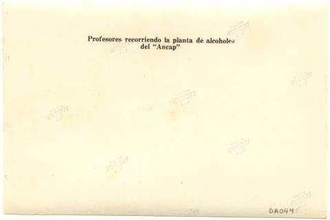 Lorena Yaconi 2009-07-15T04:00:00