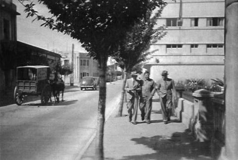 Primera imagen del registro Vista de la Calle 1 Oriente Hacia la Avenida 2 Sur