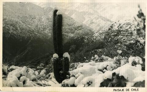 Primera imagen del registro VISTA DE CORDILLERA CON NIEVE