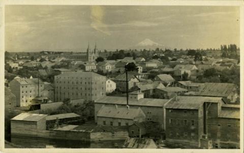Primera imagen del registro VISTA DE OSORNO