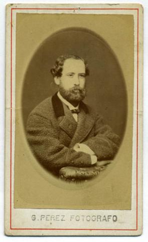 Primera imagen del registro Retrato de Don Demetrio Palacios
