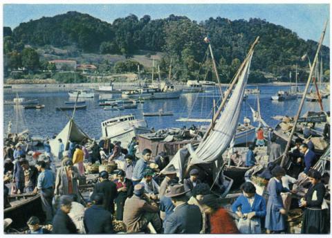 Primera imagen del registro Feria en Angelmó, Puerto Montt, Chile