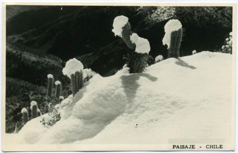 Primera imagen del registro Paisaje nevado sur de Chile
