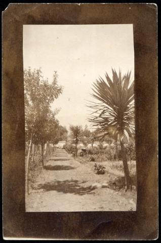 Primera imagen del registro Paisaje