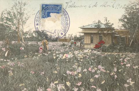 Primera imagen del registro Pabellón en un campo de flores