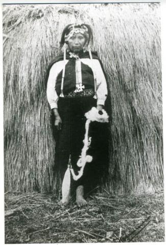 Primera imagen del registro Mujer mapuche