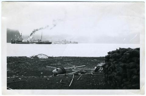 Primera imagen del registro ANTARTICA