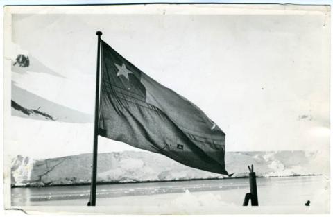 Primera imagen del registro BANDERA CHILENA EN LA ANTARTICA