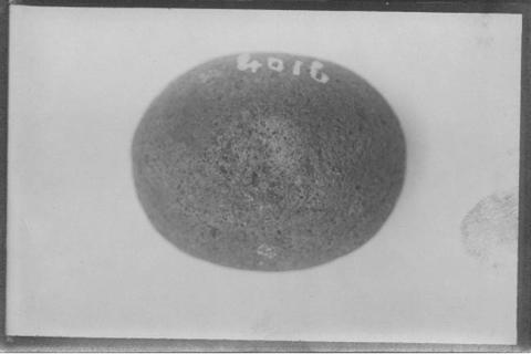 Primera imagen del registro PIEDRA REDONDA