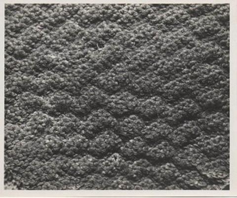Primera imagen del registro TEXTIL