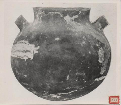 Primera imagen del registro CERAMICA INDIGENA. ASA EN AMBOS COSTADOS