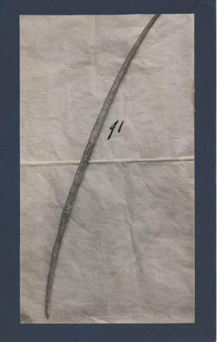 Primera imagen del registro PRODUCTO INDíGENA PARA PUNZAR