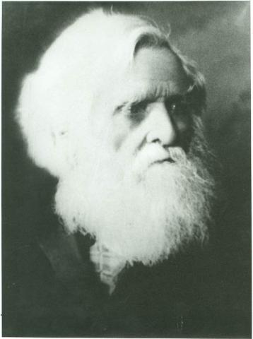 Primera imagen del registro RETRATO DE DON WILHELM RADDATZ