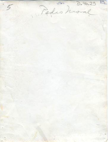 Isabel Correa 2011-08-15T04:00:00