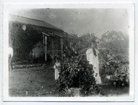 Primera imagen del registro Mujer pascuense en su jardín