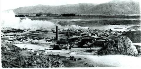 Primera imagen del registro GUAYACAN , CUARTA REGION.