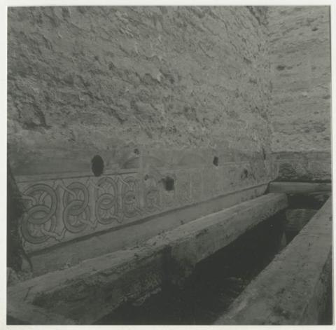 Primera imagen del registro M.H.N.RESTAURACION Y MONTAJE