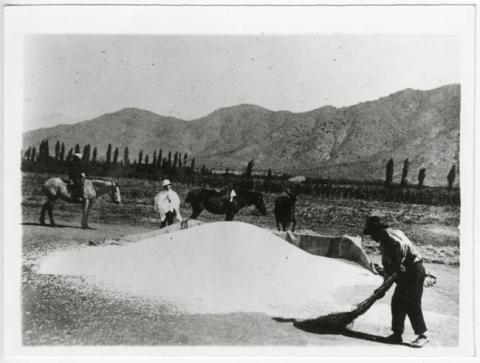 Primera imagen del registro ALBUM ACTIVIDADES AGRICOLAS.
