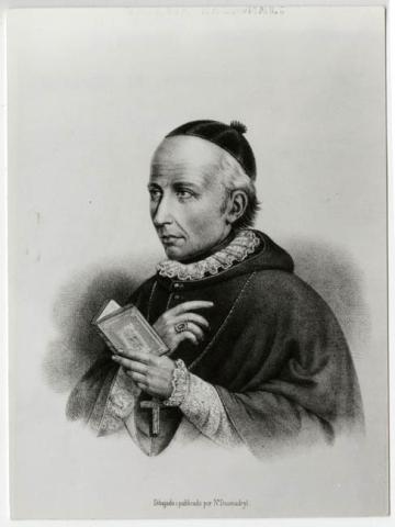 Primera imagen del registro Retrato de Manuel Vicuña Larraín