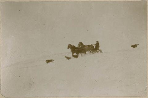 Primera imagen del registro Coche tirado por caballos en la nieve