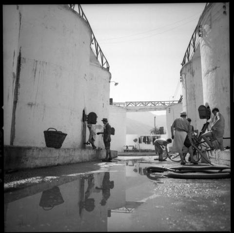 Primera imagen del registro Silos vinificadores. Fundo La Rosa Sofruco.