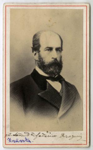 Primera imagen del registro Retrato de Don Federico Errázuriz Zañartu
