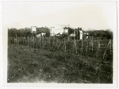 Primera imagen del registro PLANTACION Y CASA. ISLA DE PASCUA.