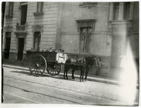 Primera imagen del registro CARRO RECOLECTOR TIRADO POR CABALLOS.