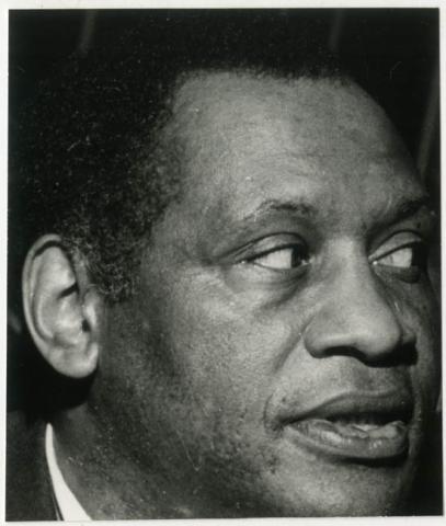 Primera imagen del registro Retrato de Paul Robeson, París