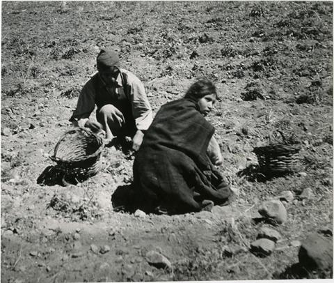 Primera imagen del registro PAREJA DE INDIGENAS,BOLIVIA