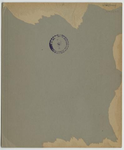 Angélica Araya 2015-03-15T03:00:00