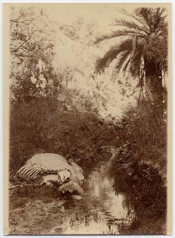 Primera imagen del registro Paisaje natural con arroyo y osamentas animales