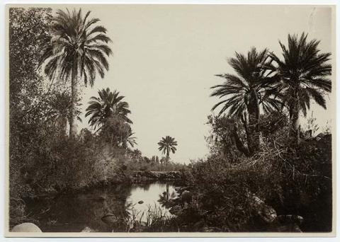 Primera imagen del registro Paisaje natural con laguna y palmas chilenas