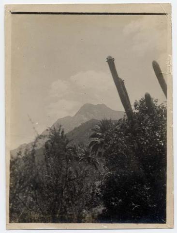 Primera imagen del registro Paisaje natural con vegetación y cerros