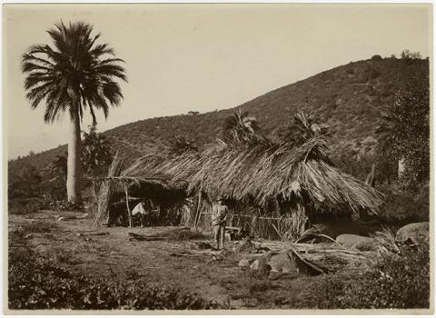 Primera imagen del registro Casa de palmas
