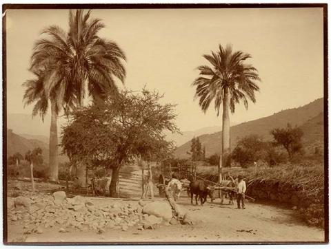 Primera imagen del registro Paisaje rural