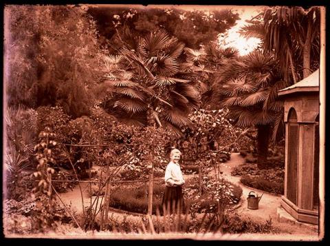 Primera imagen del registro Niña en parque
