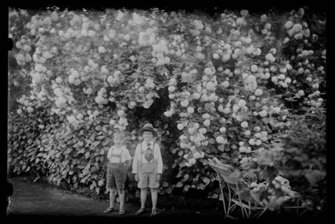 Primera imagen del registro Retrato de dos niños en jardín