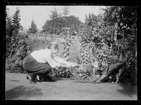 Primera imagen del registro Mujer jugando con perro