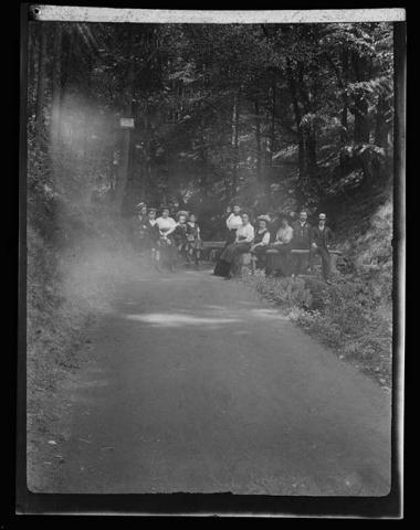 Primera imagen del registro Retrato de grupo de personas en bosque