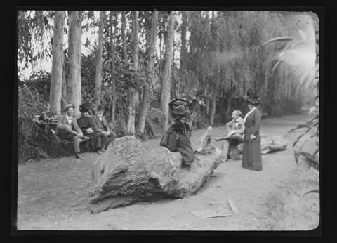 Primera imagen del registro Grupo de personas en paisaje natural