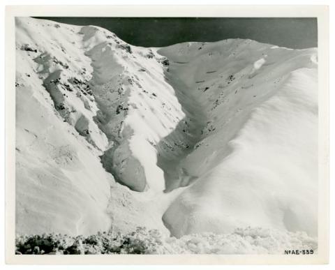 Primera imagen del registro Paisaje nevado, Sewell