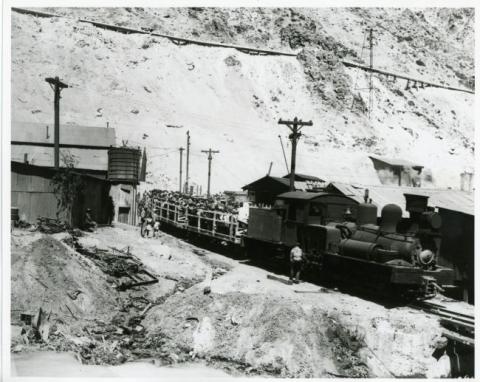 Primera imagen del registro Locomotora de Sewell transportando personas